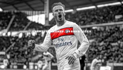 爱游戏体育官方网站：足协杯种子计划蓉城再绽绿茵梦，少年勇破前国门点燃足球热