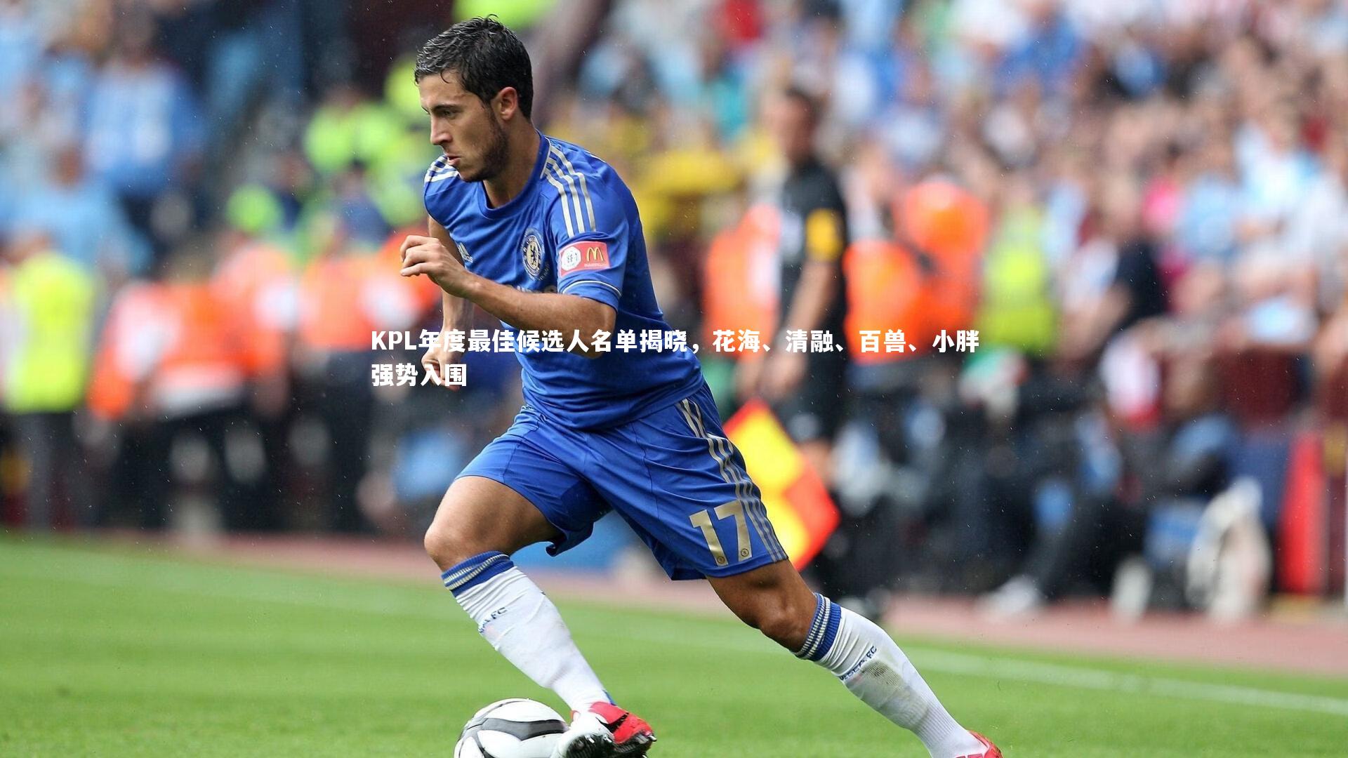 KPL年度最佳候选人名单揭晓，花海、清融、百兽、小胖强势入围
